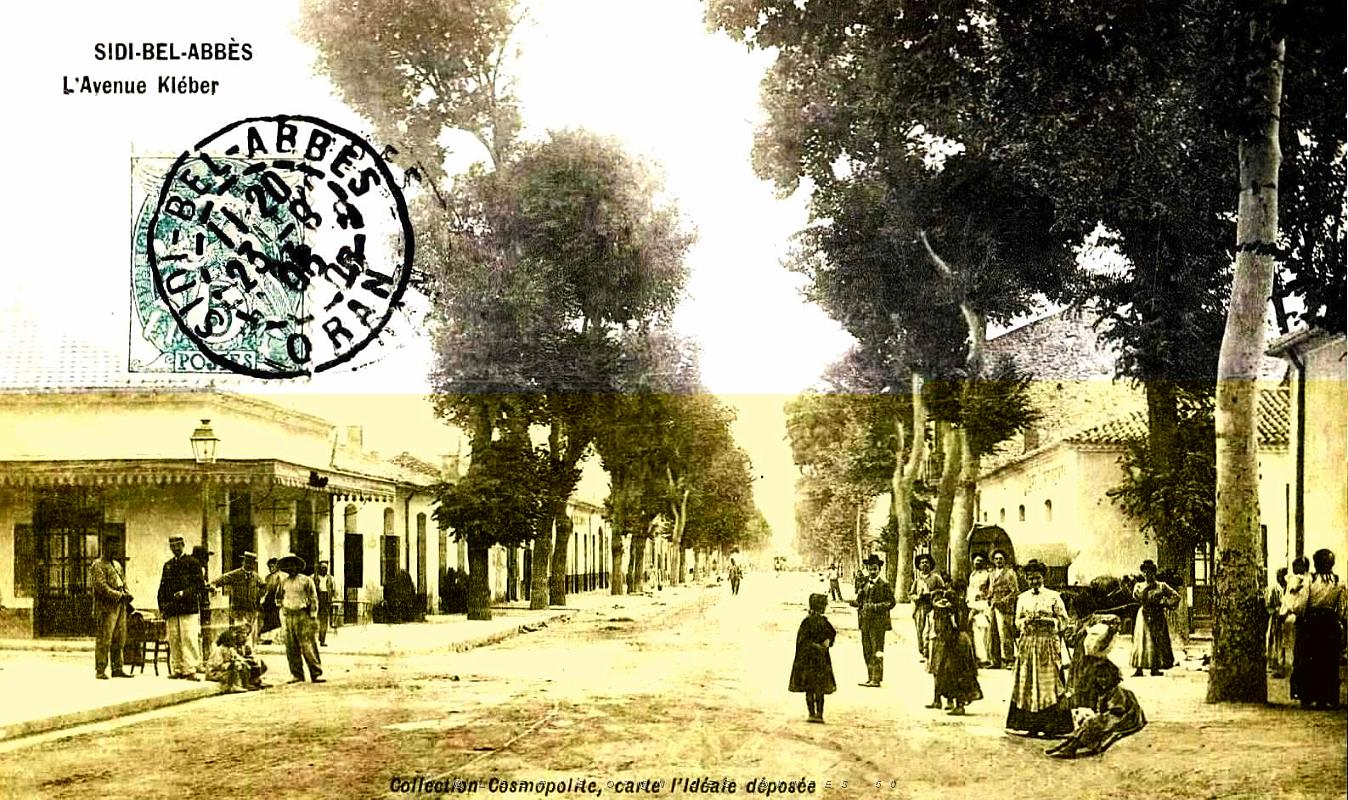 1016- Sidi-bel-Abbes - Avenue Kleber.jpg